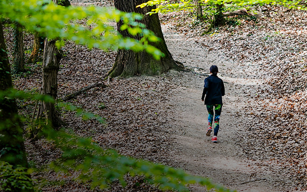 Šumski put za trčanje